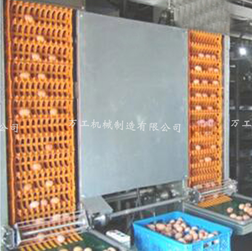 雞鴨蛋蛋類(lèi)清洗生產(chǎn)線
